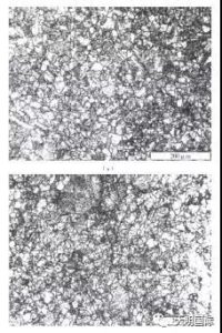 Thermal deformation microstructure of 17-4PH Stainless Steel